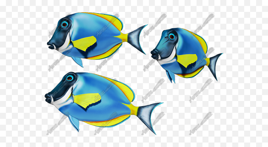Reef Bundle Pack - Aurora Graphics Coral Reef Fish Emoji,Coral Reef Clipart