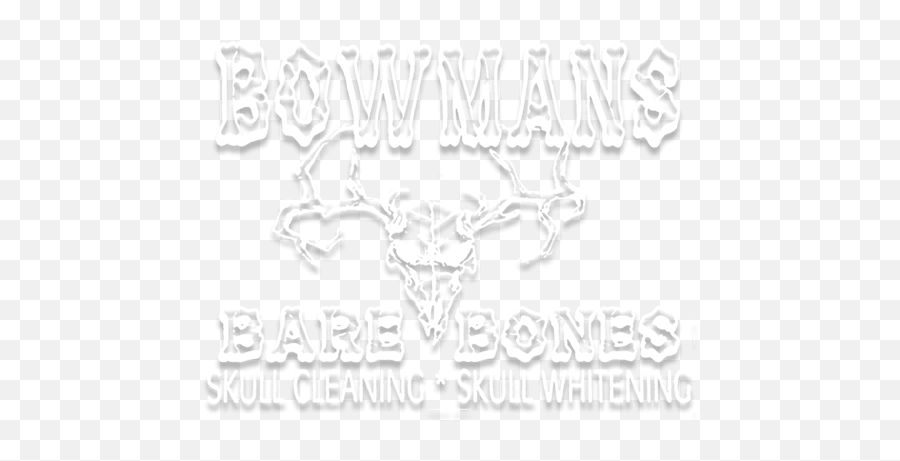 Bowmans Bare Bones Skull Cleaning Bloomsburg Pa - Language Emoji,Deer Head Logo