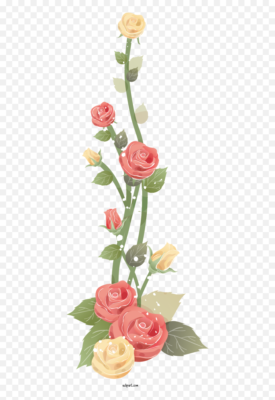 Flowers Motheru0027s Day Floral Design Flower For Rose - Rose Emoji,Day Of The Dead Flowers Clipart