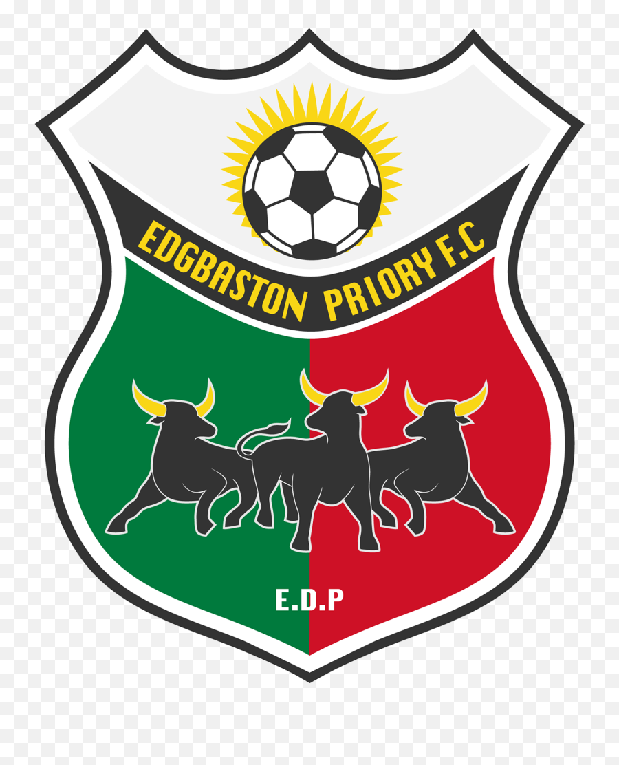 Football Team Logo On Behance Emoji,Football Logo Design