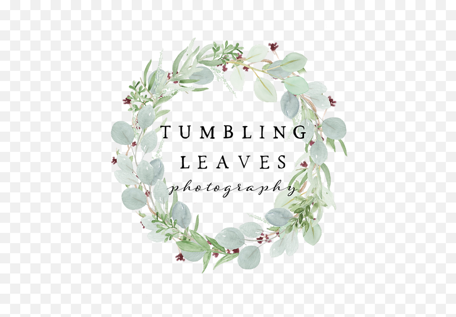 Contact Tumbling Leaves Photography Normal Il Emoji,Leaves Logo
