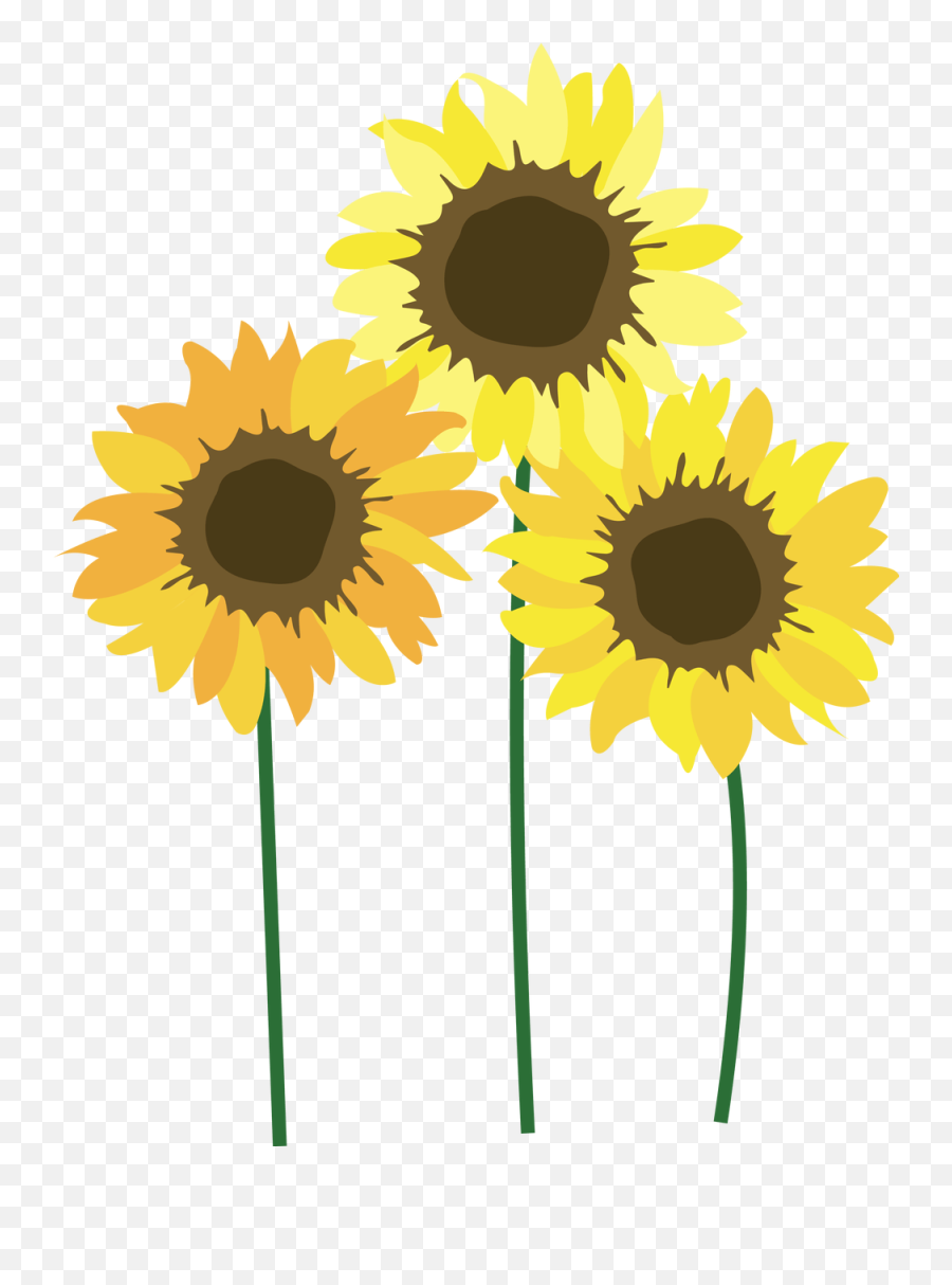 Sunflowers Logo - Logodix White Sunflower Clipart Transparent Background Emoji,Sunflower Logo