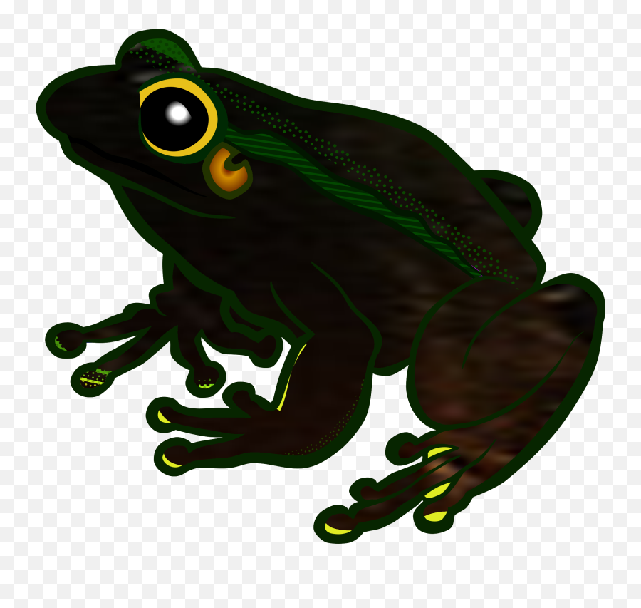 Frog Clip Art Transparent Png Image - Transparent Png Frog Clipart Emoji,Frogs Clipart