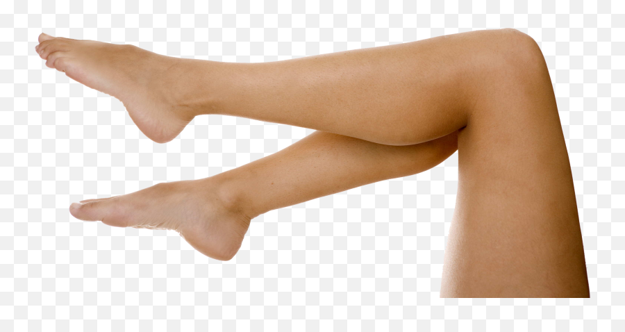 Leg Clipart Leg Calf Leg Leg Calf Transparent Free For - Leg Png Emoji,Leg Clipart