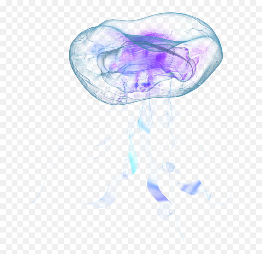 Jellyfish Png Alpha Channel Clipart Images Pictures With - Jellyfish Png Emoji,Jellyfish Clipart