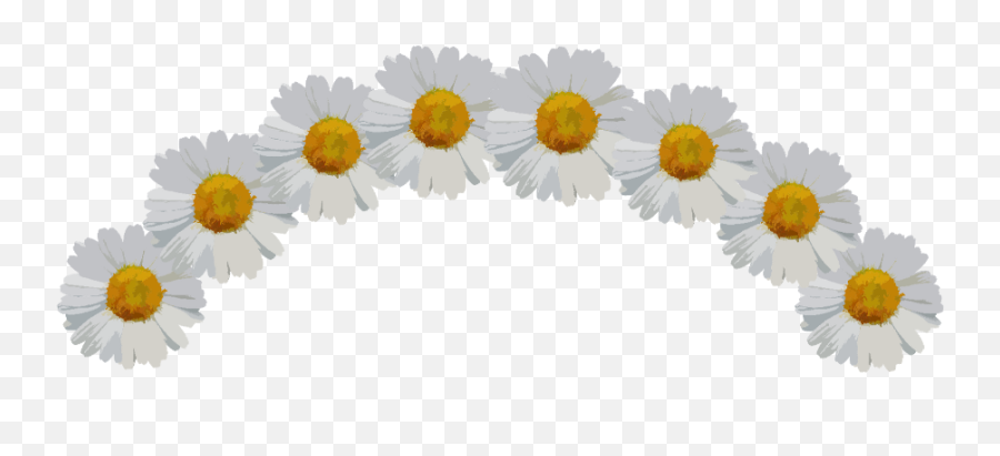 Download Ftestickers Sticker - Daisy Flower Crown Png Full Emoji,Daisy Flower Png