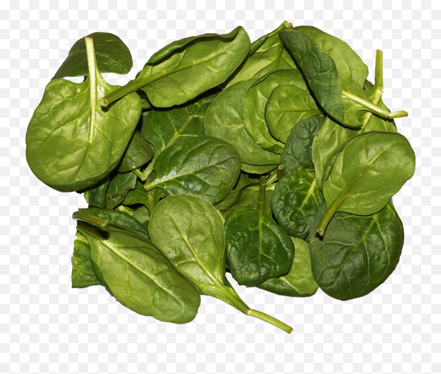 Filespinach Leavespng - Wikimedia Commons Emoji,Leaves Png
