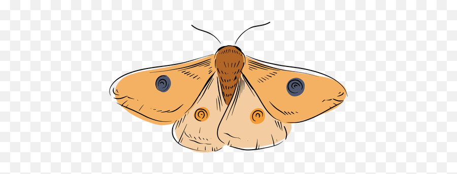 Moth Illustration - Moth Illustration Transparent Emoji,Moth Transparent