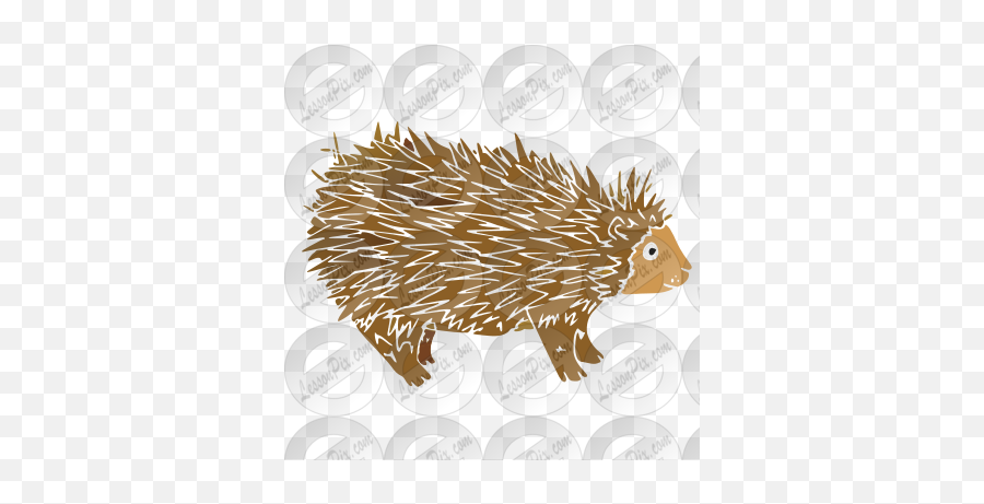 Porcupine Stencil For Classroom - Domesticated Hedgehog Emoji,Porcupine Clipart