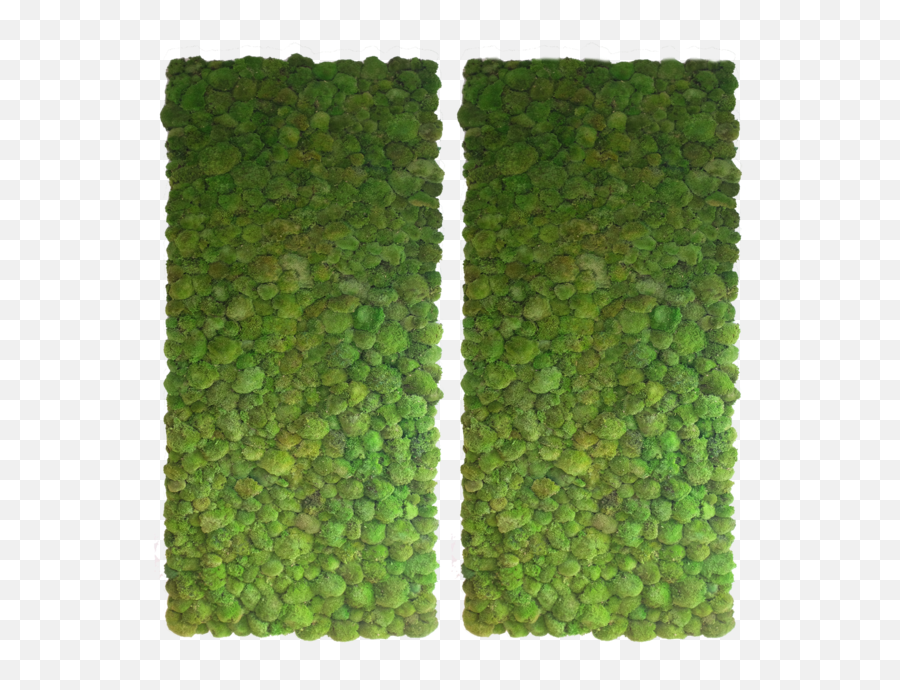 Hd Bun Moss Wall 2 Transparent Png Emoji,Green Wall Png