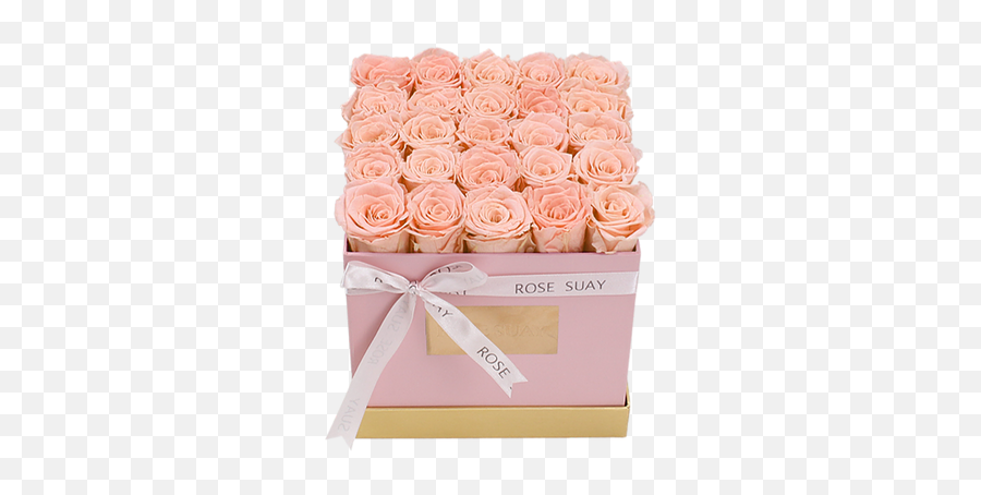 Champagne Eternity Roses - Medium White Square Box Rosesuay Emoji,Square Box Png