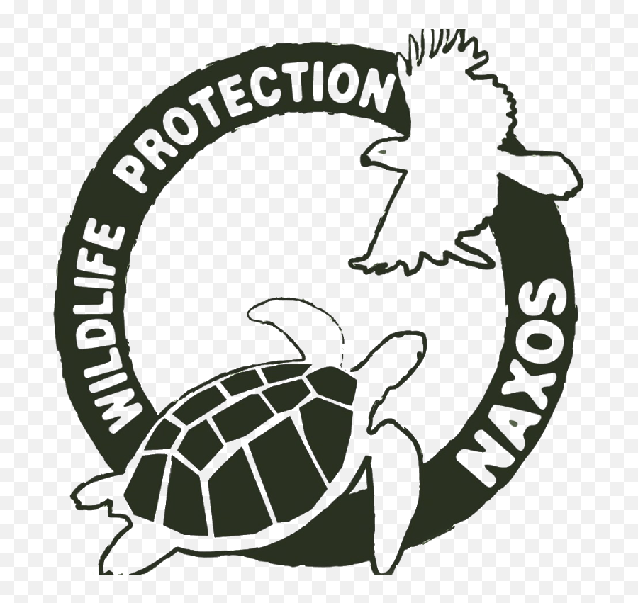 Sea Turtles U2013 Naxos Wildlife Protection Emoji,Sea Turtle Logo