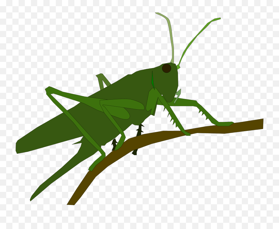 Grasshopper Clipart - Grasshopper Clipart Emoji,Grasshopper Clipart