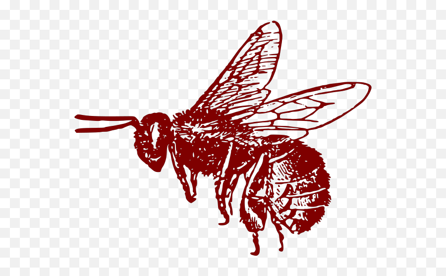 Honey Bee Png Clipart Png Mart - Parasitism Emoji,Honey Bee Clipart