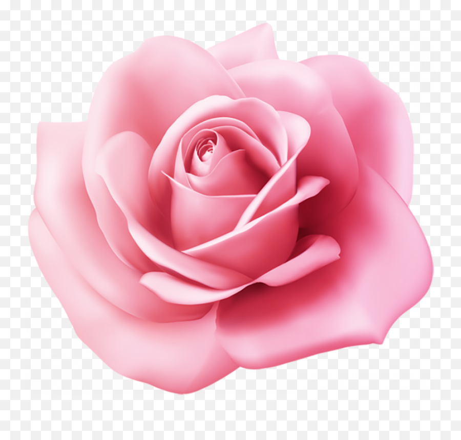 Flower Clipart Pink Rose Png Png - Clipart Pink Flower Png Rose Emoji,Pink Rose Clipart