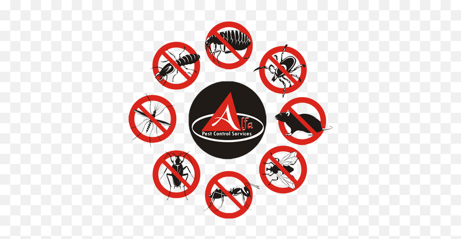 Terms And Conditions - Logo Pest Control Services Emoji,Pest Control Logo