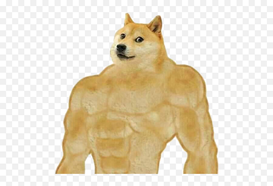 Doge Dogge Strong Buff Meme Sticker - Buff Doge Emoji,Doge Png