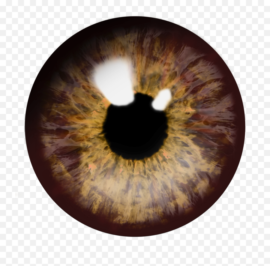 Real Brown Eye Png Transparent - Transparent Background Human Eye Png Emoji,Png Images