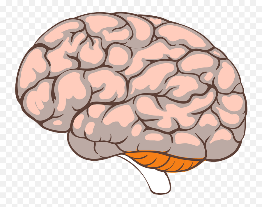 Brain Clipart Free Download Transparent Png Creazilla - Brain Emoji,Brain Clipart Png