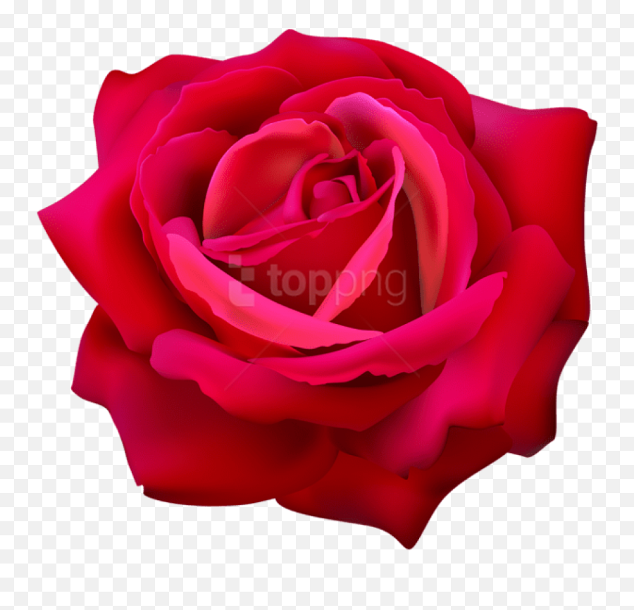 Download Red Rose Flower Png Images Background Png - Free Lovely Emoji,Flower Png