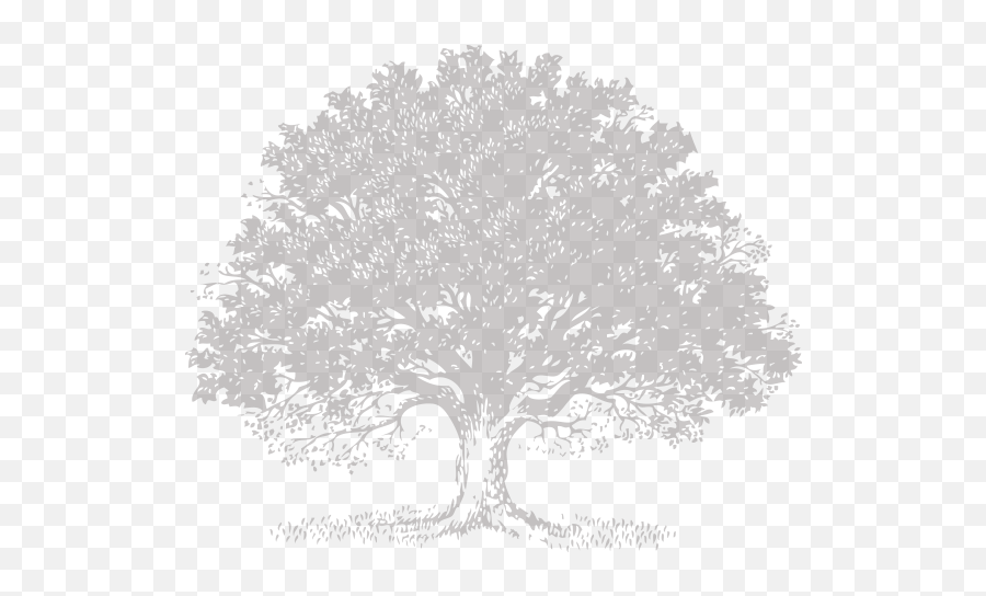 Download Live Svg Royalty Free Stock - Black Oak Winery Emoji,Oak Tree Logo