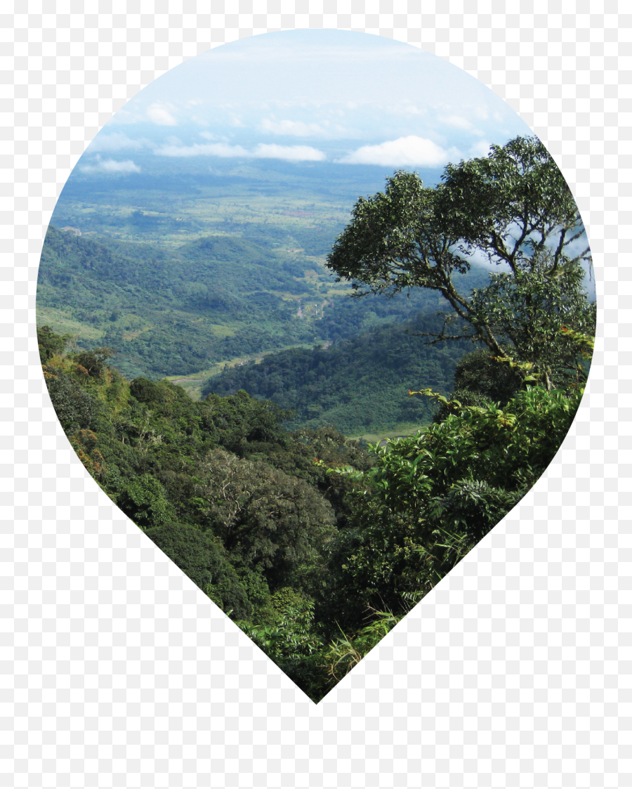 Rainforest Clipart Natural Environment - Natural Landscape Emoji,Rainforest Clipart