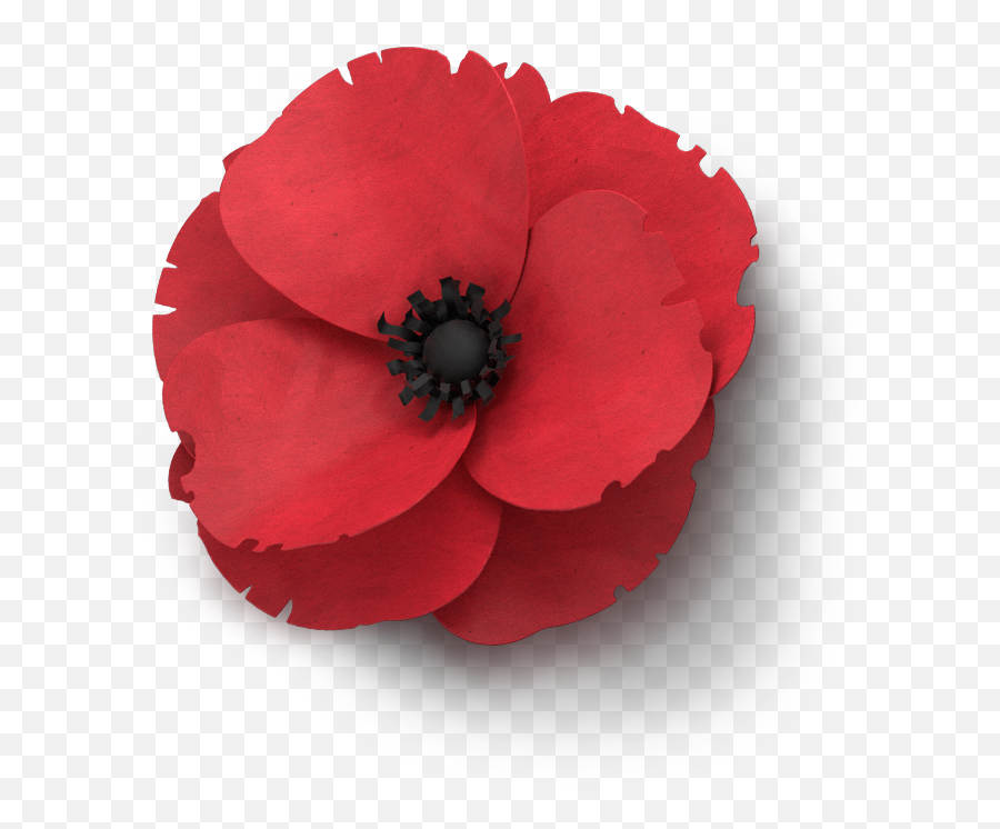 Download Poppy Flower Veterans Day - Remembrance Day Poppy Png Emoji,Poppy Flower Clipart