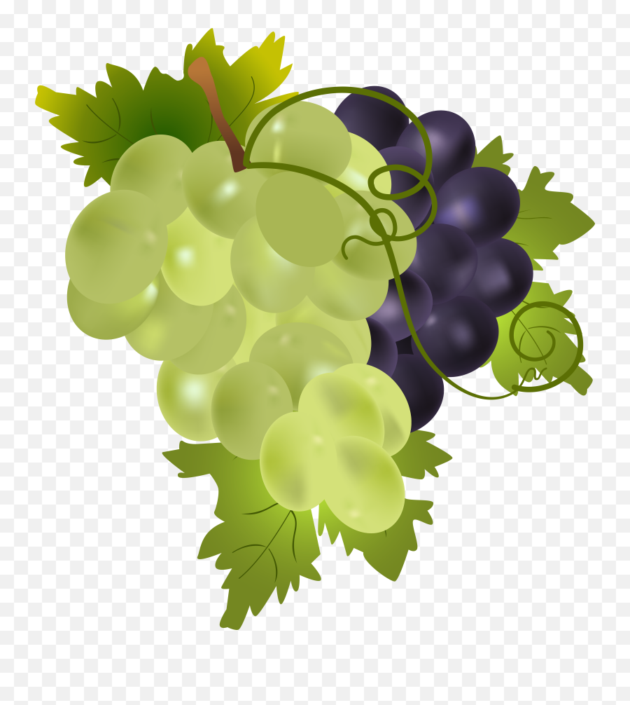 Grapes Png Clip Art Image - Clipart Grape Transparent Emoji,Grapes Clipart