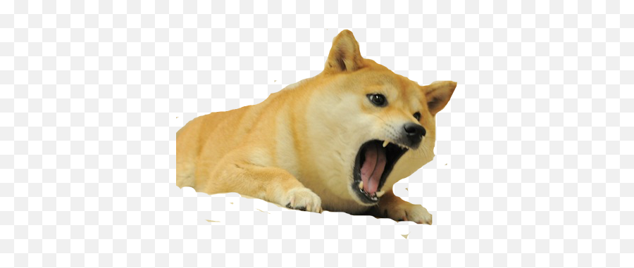 Doge Icon - Transparent Background Angry Doge Png Emoji,Doge Png