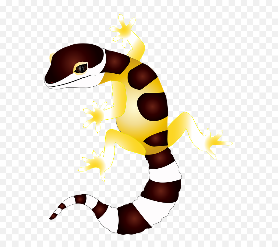 Gecko Reptile Lizard - Free Image On Pixabay Emoji,Salamander Clipart