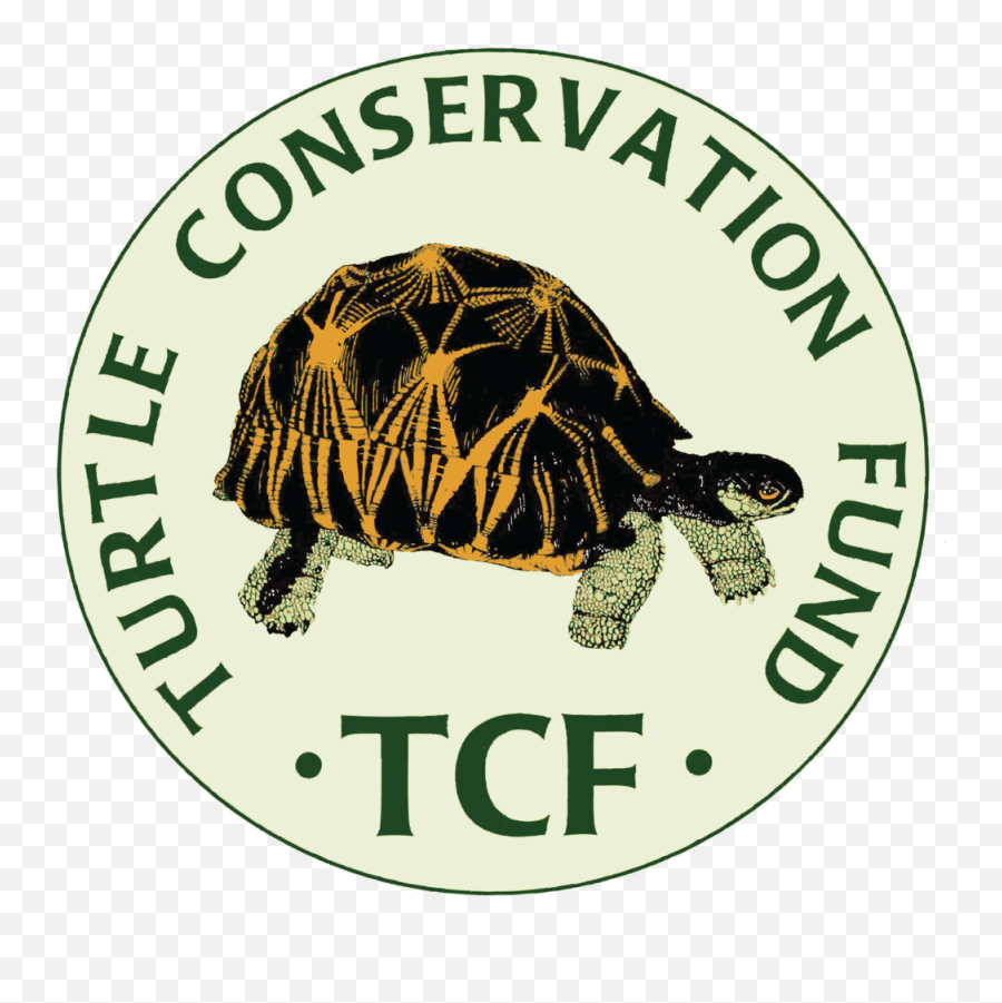 Download The Turtle Conservation Coalition - Turtle Emoji,Sea Turtle Logo