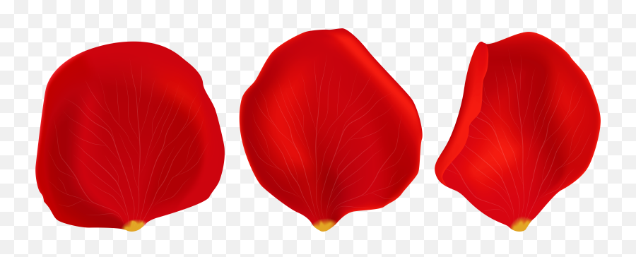 Red Rose Petals Transparent Png Clip - Clipart Png Rose Petals Emoji,Rose Petals Png