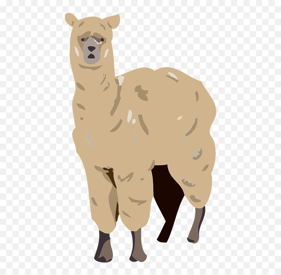 Alpaca Clipart - Animal Figure Emoji,Alpaca Clipart