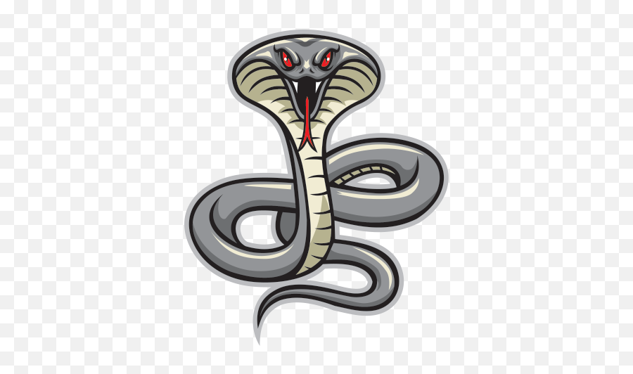 Snake Vipers Cobra - Snake Png Download 600600 Free Cobra Snake Png Logo Emoji,Cobra Png