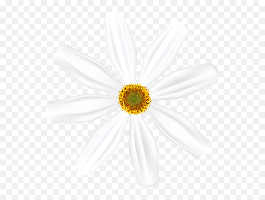 Pin By Muhammad Ahmad On Png White Flower Clip Flower Emoji,White Flower Clipart