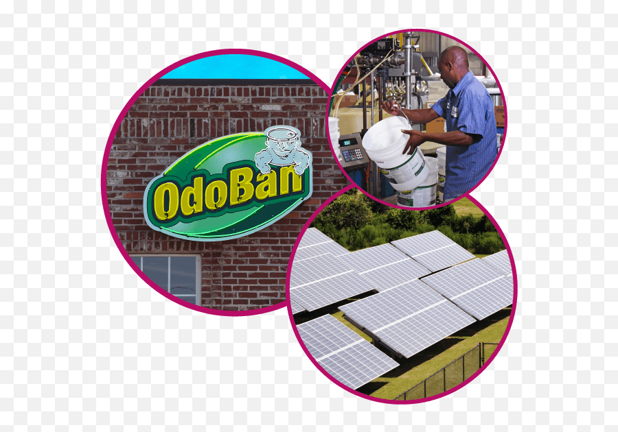 Odoban American Made Cleaners And Odor Eliminators Since 1980 - Roof Shingle Emoji,Lysol Logo