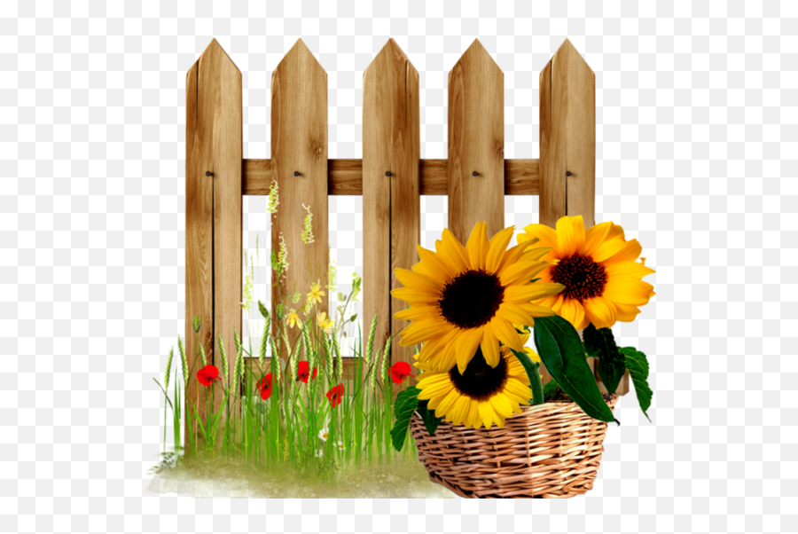 Fence Clipart Sunflower Fence Sunflower Transparent Free - Sunflower Fence Clipart Emoji,Sunflower Clipart