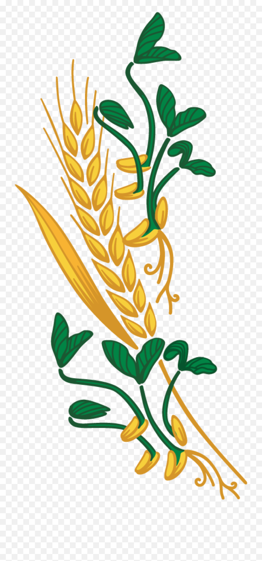 Download Wheat Clipart Png Download - Whole Grain Full Wheat Emoji,Wheat Clipart