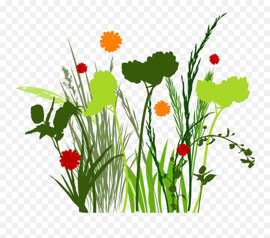 Tall Grass Png - Spring Flower Graphic Png Transparent Emoji,Tall Grass Png