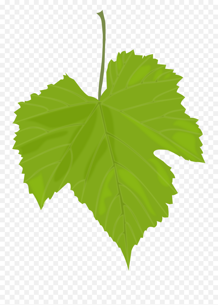 Free Clip Art - Grape Leaf Clipart Emoji,Grapes Clipart