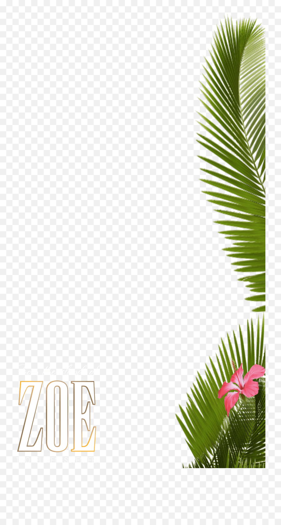 Download Hd About 225 Free Commercial U0026 Noncommercial - Tropical Snap Filter Emoji,Free Commercial Use Clipart