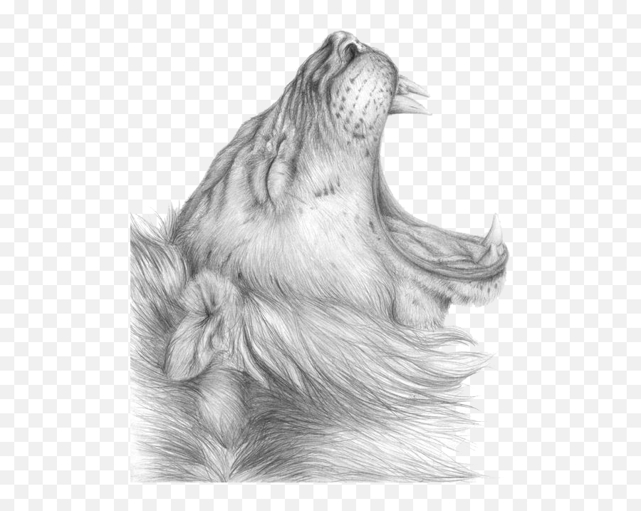 Lioness Roar Clipart Hq Png Image - Sketch Lion Emoji,Lioness Png