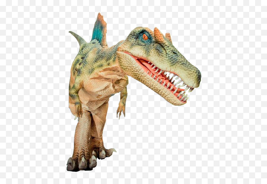 Realistic Spinosaurus Dinosaur Costume Reiten Dinosaurier Emoji,Spinosaurus Png