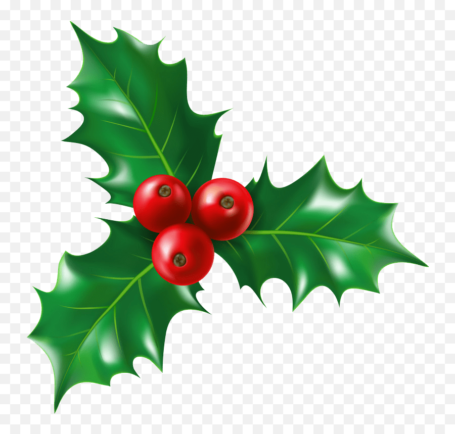 Isolated Holly Png Transparent - Sketching A Realistic Holly Emoji,Holly Png