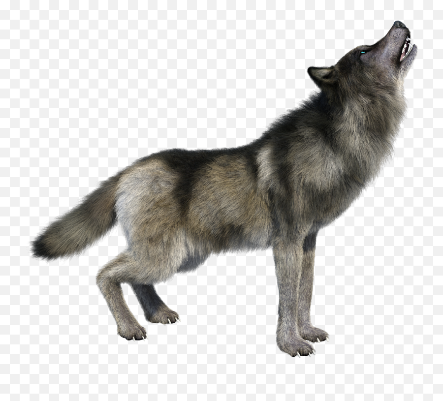 Wolf Png Images Free Download Emoji,Werewolf Png