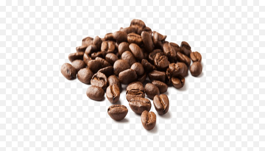Coffee Beans Png Image Transparent - Arabic Coffee Beans Png Emoji,Coffee Beans Png