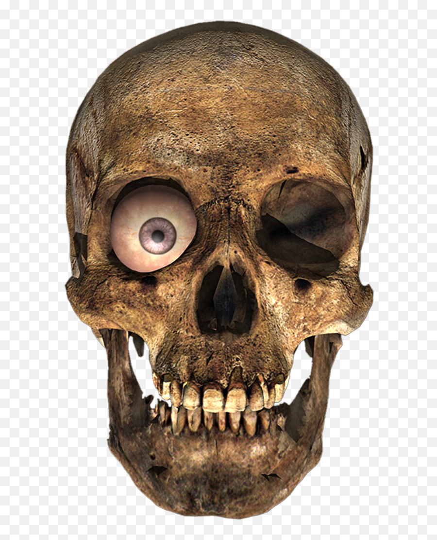 Skull Png Image Emoji,Skeleton Png