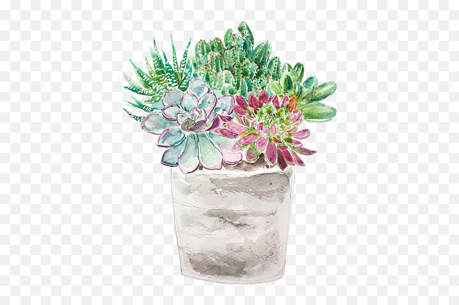 Succulents And Cactus In Pot Watercolor 2020 Round Beach Emoji,Succulent Transparent Background