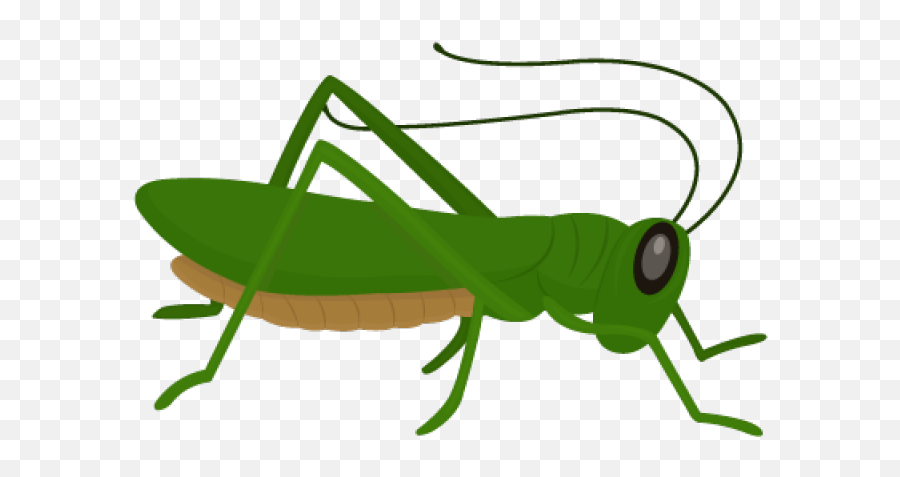 Grasshopper Clipart Png Transparent - Parasitism Emoji,Grasshopper Clipart