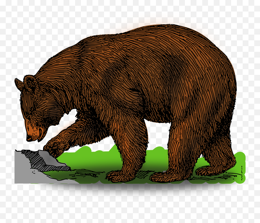 Free Bear Clipart Png Images - Bear Clipart Emoji,Bears Clipart